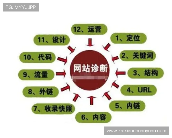 如何选择多宝真人或pa真人根据自身需求进行合理判断与推荐